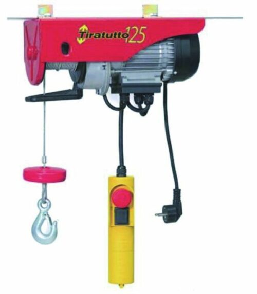 Paranco elettrico 450 watt portata 125 kg