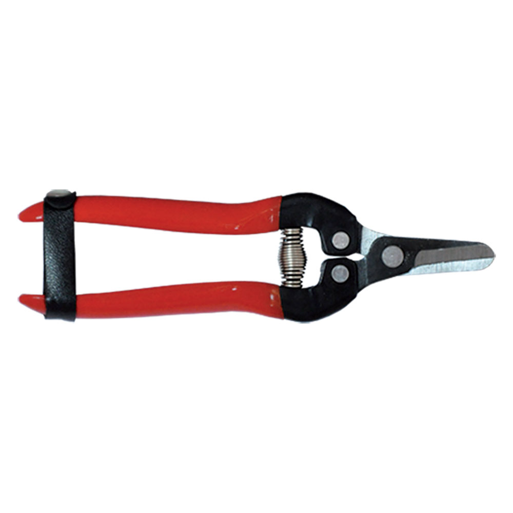 Forbici cogliagrumi cm 16 Falci