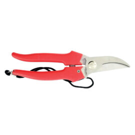 Forbici cogliuva art. 35031 - cm 19 Ausonia