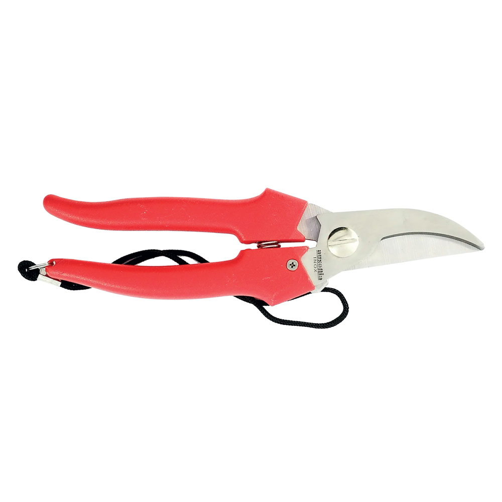 Forbici cogliuva art. 35031 – cm 19 Ausonia