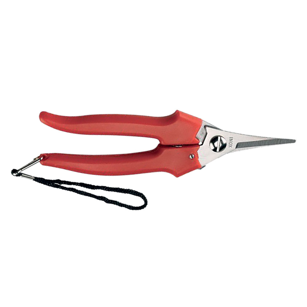 Forbici cogliuva ‘lame strette’ art. 31329 – cm 19 Ausonia