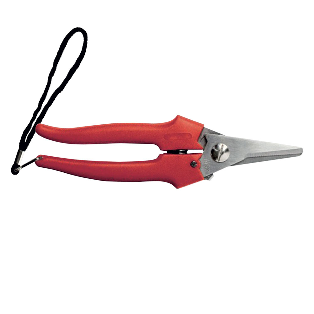 Forbici cogliuva art. 31327 – cm 19 Ausonia