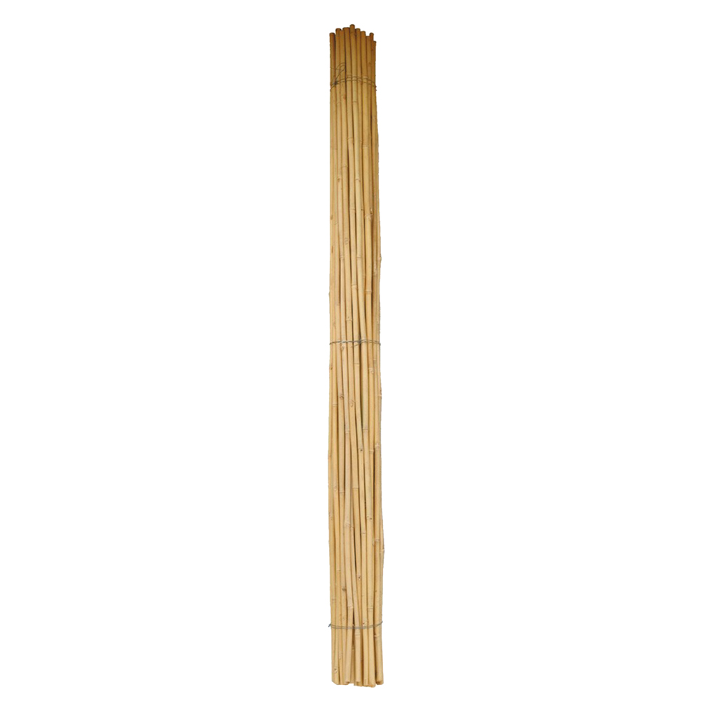 Canna bambu’ Ø 24/26 mm. circa – h. mt 2,1 Senza marca