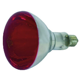 Lampada infrarossi per riflettore 150 w - e27 philips Albert kerbl