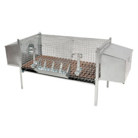 Gabbia conigli due fattrici cm 100 x 50 xh 70 Mg gabbie