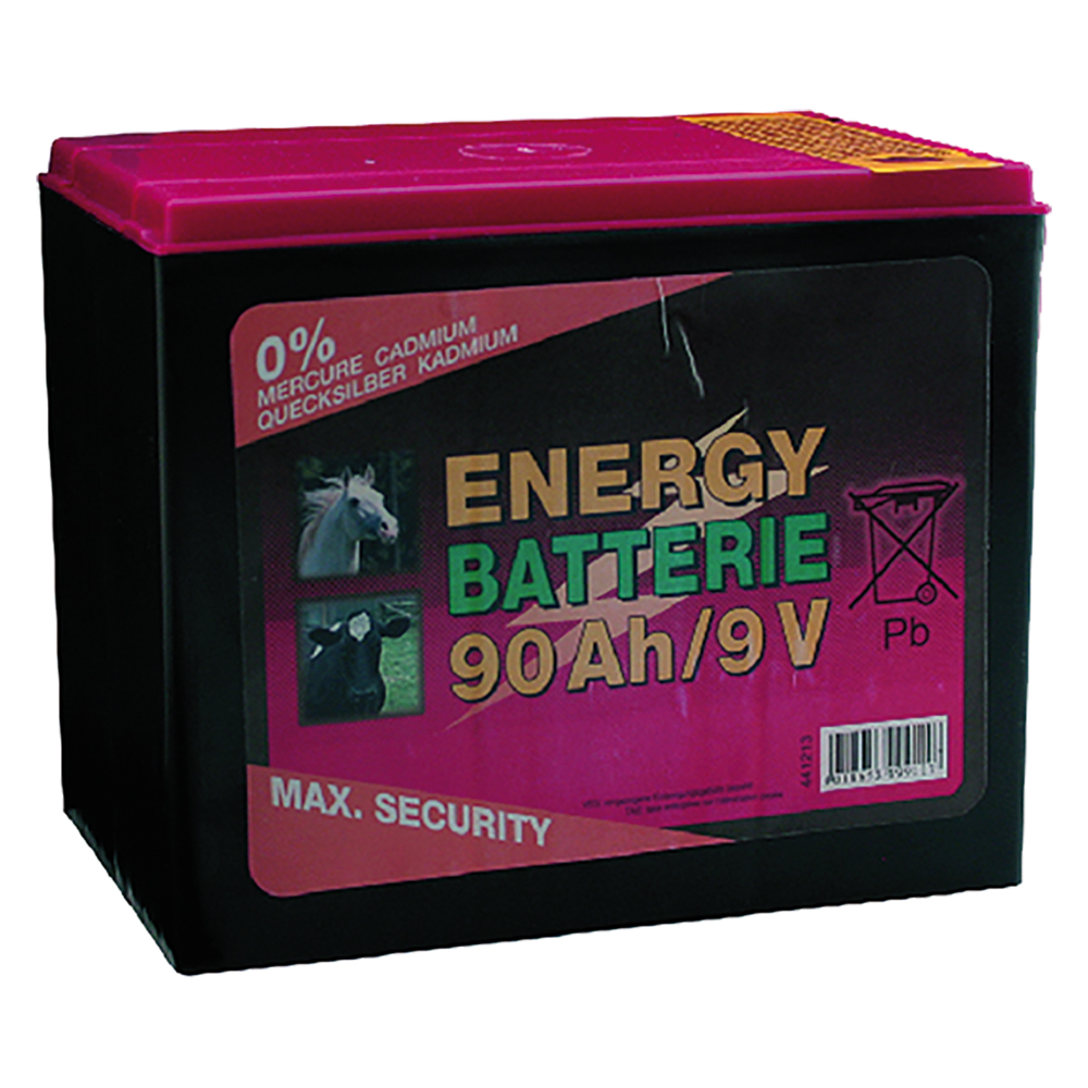 Batteria per elettrificatore 90 ah Albert kerbl