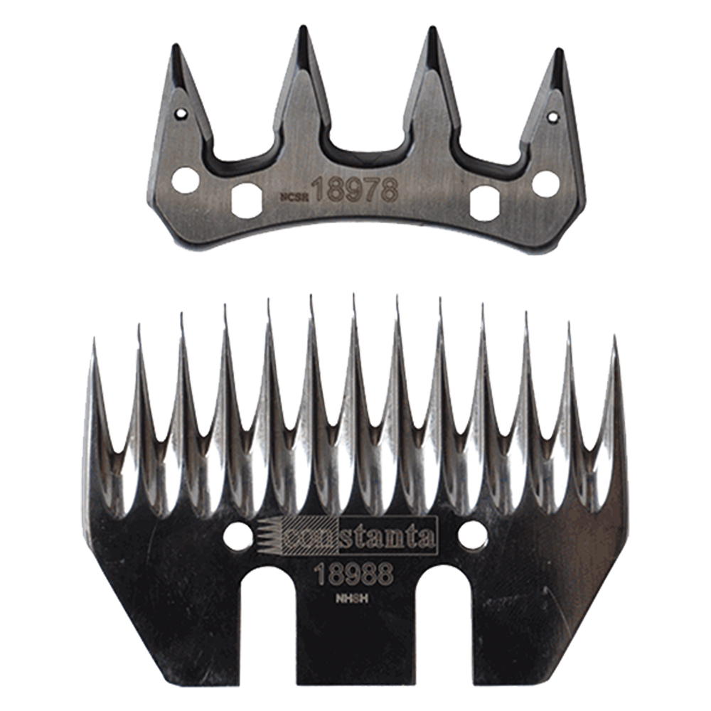 Coppia pettini ricambio Albert kerbl