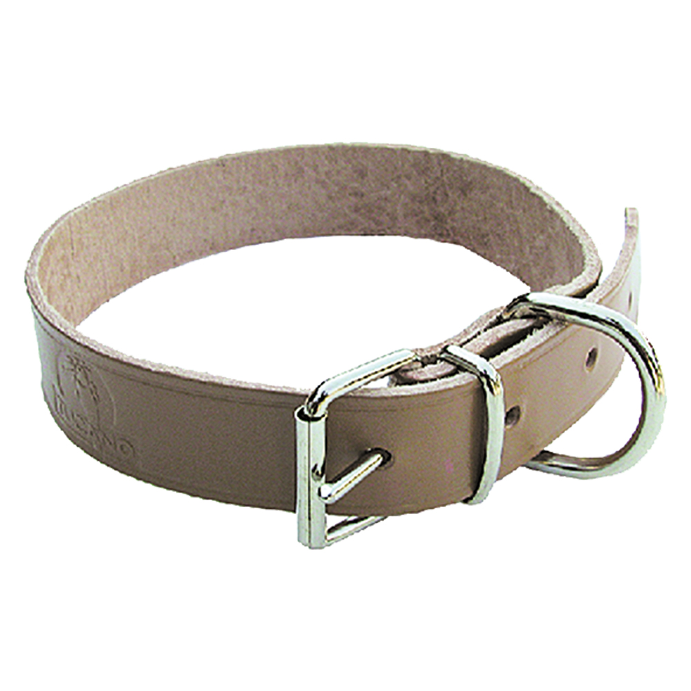 Collare per cane larg. mm 30 lung. cm 55 Senza marca