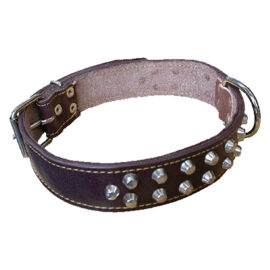 Collare per cane larg. mm 30 lung. cm 60 Senza marca