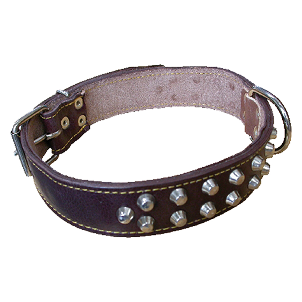 Collare per cane larg. mm 30 lung. cm 60 Senza marca