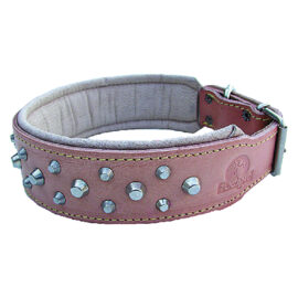 Collare per cane larg. mm 45 lung.cm 63 Senza marca