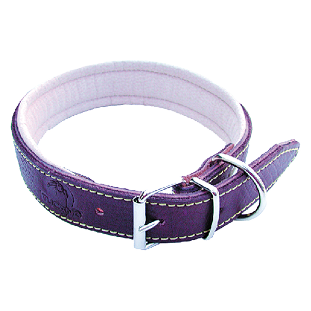 Collare per cane larg. mm 20 lung.cm 45 Senza marca