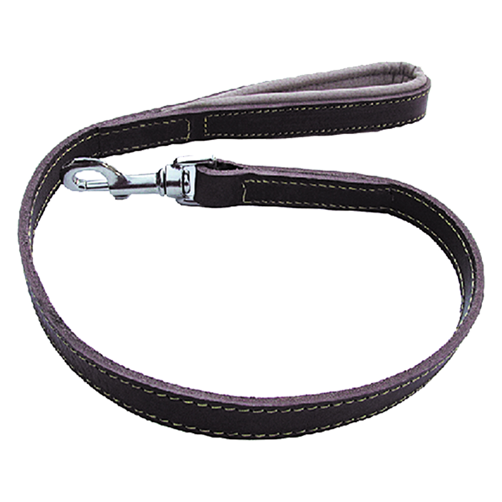 Guinzaglio per cane larg. mm 20 lung.cm 80 Senza marca