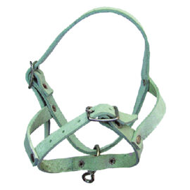 Capezza per pecora in bufalo Senza marca