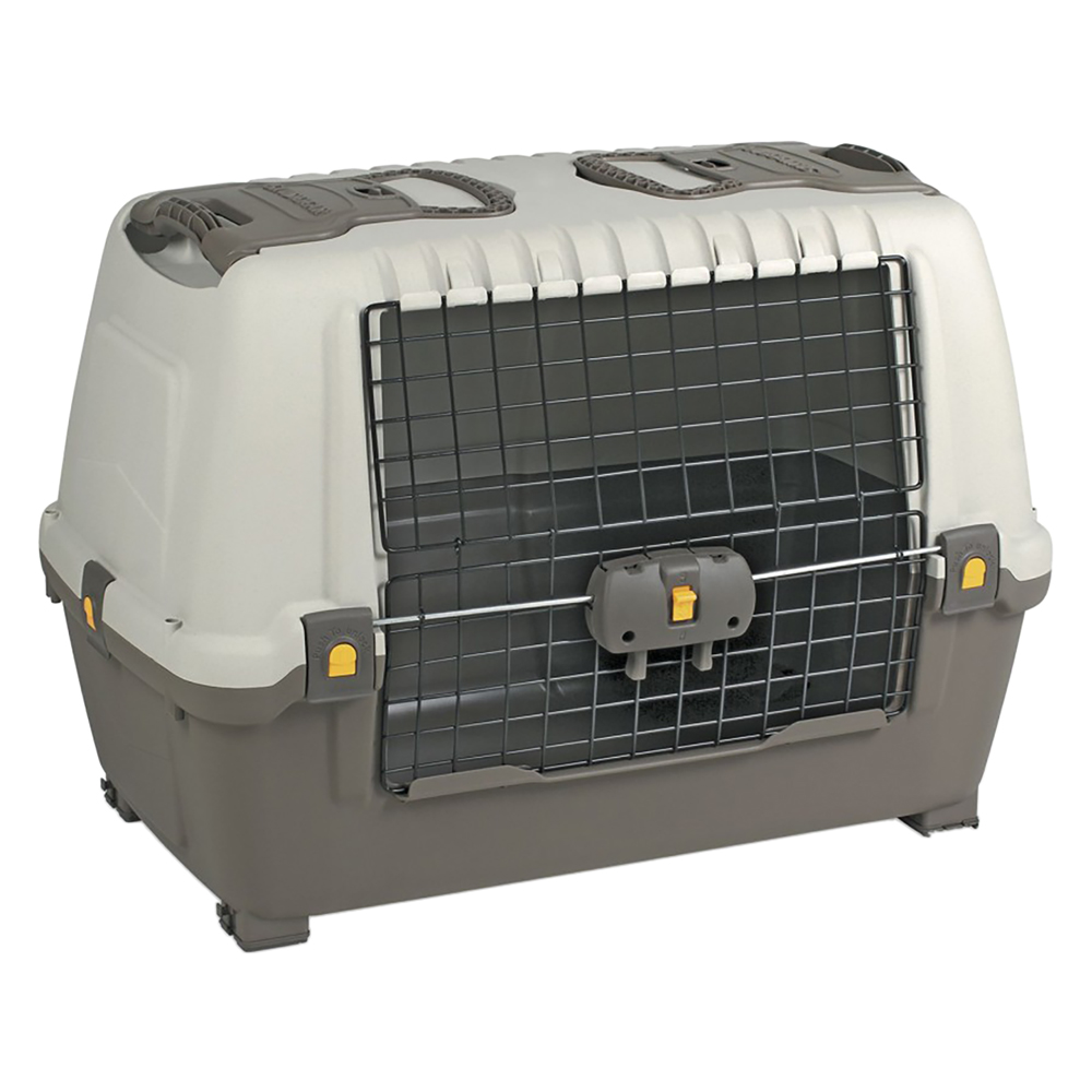 Trasportino cm 100 x 60 x h 65 pt3 Artplast