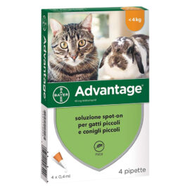 Antiparassitario 'advantage spot-on' > 4 kg  - 4 pipette ml 0,8 Senza marca