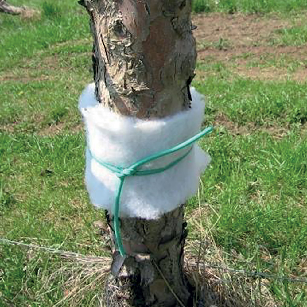 Tessuto trappola cattura insetti rinco trap – cm 13,5 x 20 mt Senza marca