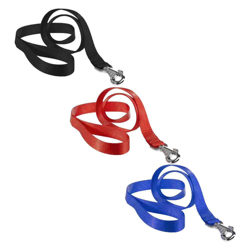 Guinzaglio per cane ‘club g’ cm 120  x mm 10 – blu Ferplast