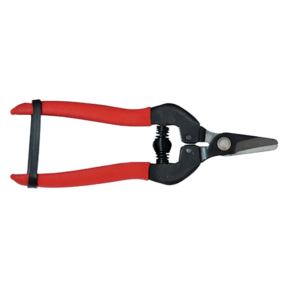 Forbici cogliuva cm 16 – pz. 1 Blister koncreto