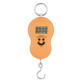 Bilancia digitale portatile 40 kg Kasart