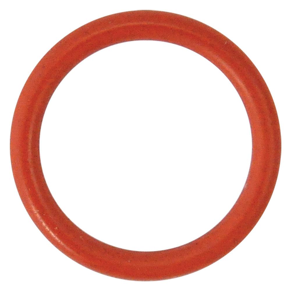 Guarnizione o-ring per perno per n 3 – mm 18,72 x  2,62 Reber