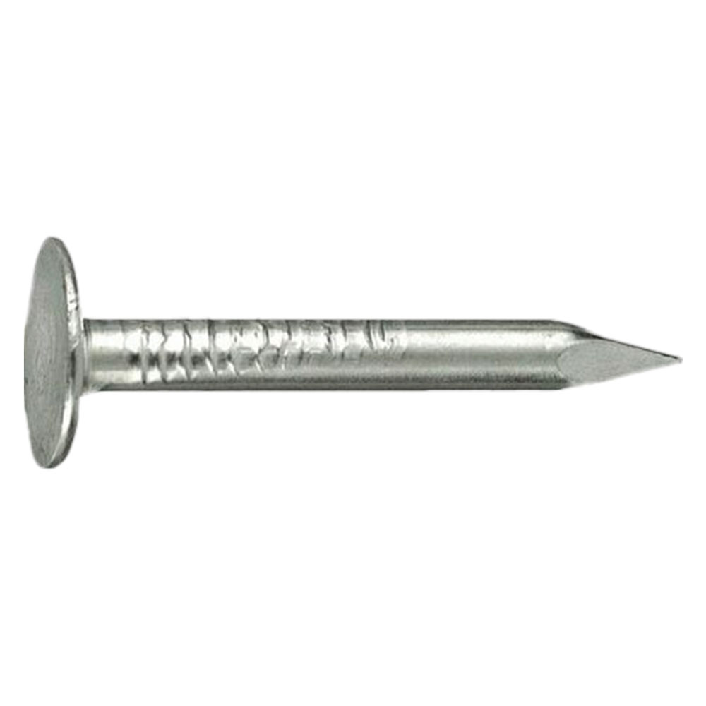 Chiodi testa piana larghissima tpll 17 x  25 Cavatorta