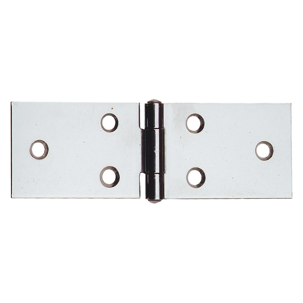 Cerniera in acciaio inox art.122in mm 100 x 31 Aldeghi luigi