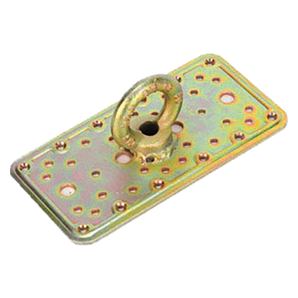 Piastra di sicurezza art.862 mm 100 x 200 Aldeghi luigi