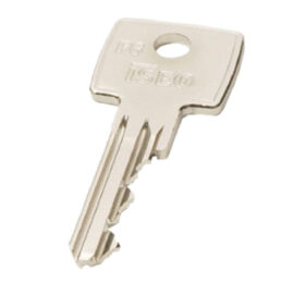 Chiave ottone nichelato '020609' lunghezza 26,6 mm - 6 spine Iseo