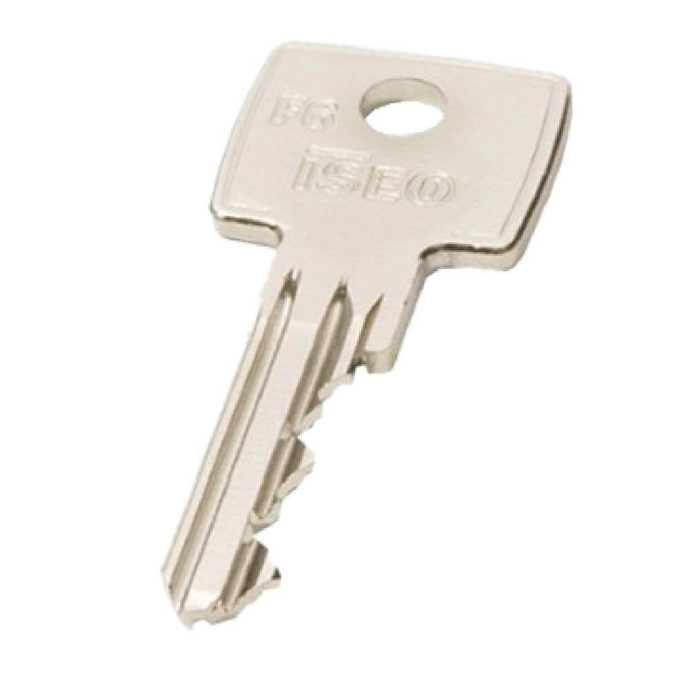 Chiave ottone nichelato ‘020609’ lunghezza 26,6 mm – 6 spine Iseo