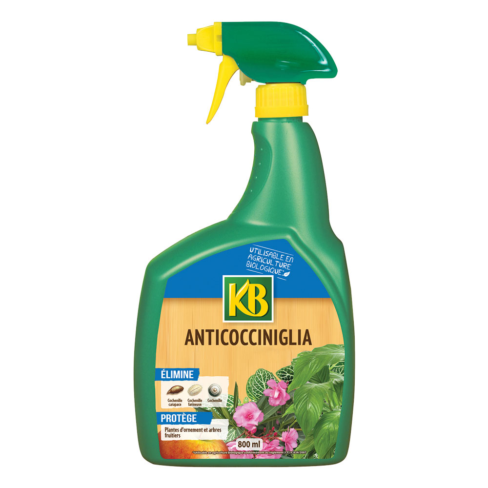Olio di colza anti cocciniglia ml. 800 Kb