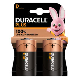 Pila torcia 'mn 1300' pz 2 - 1,5 v - d (plus) Duracell
