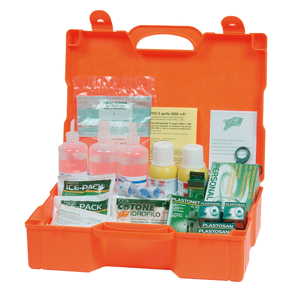 Cassetta primo soccorso ‘cps154’ cm 51x41x13 Senza marca