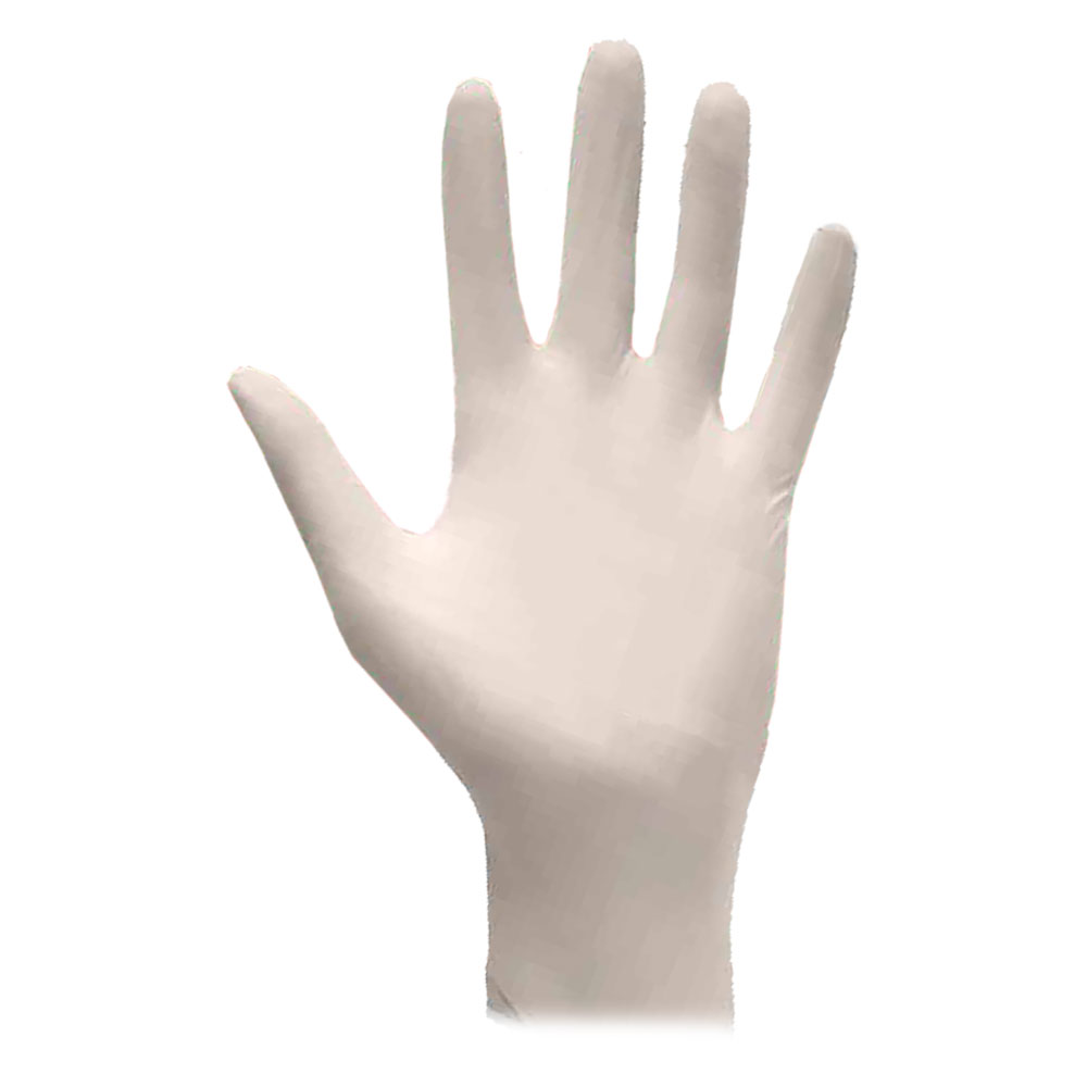 Guanti lattice monouso  l Ajsia