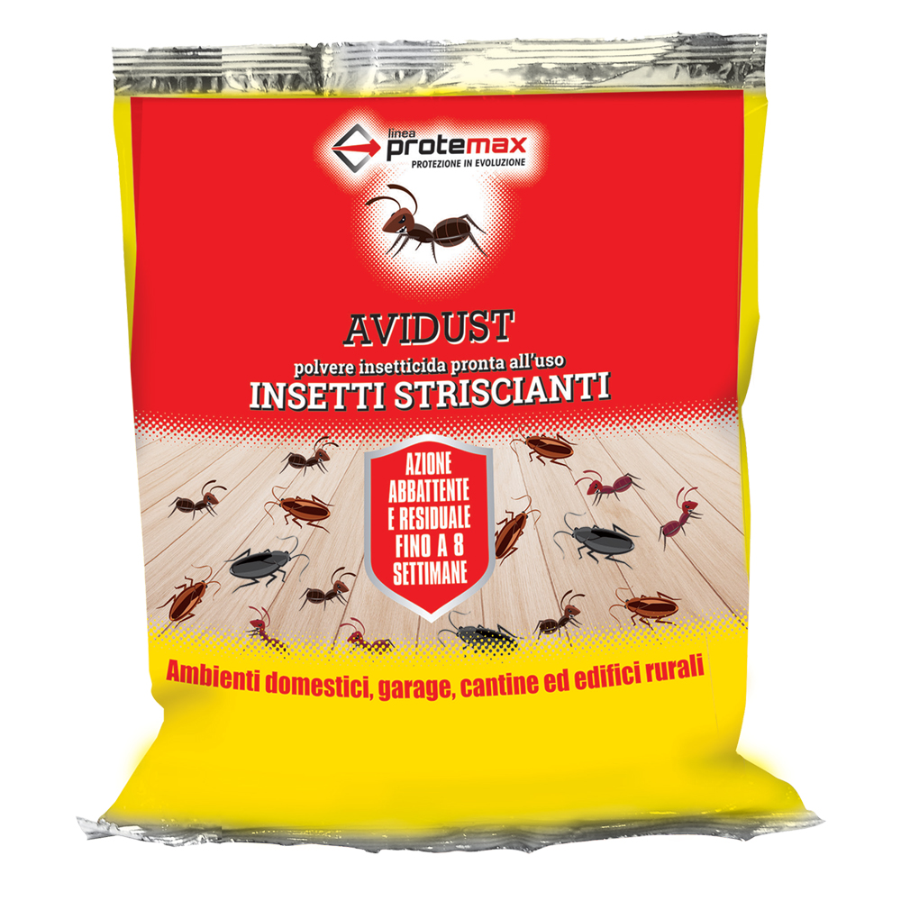 Insetticida in polvere kg 1 – busta Protemax