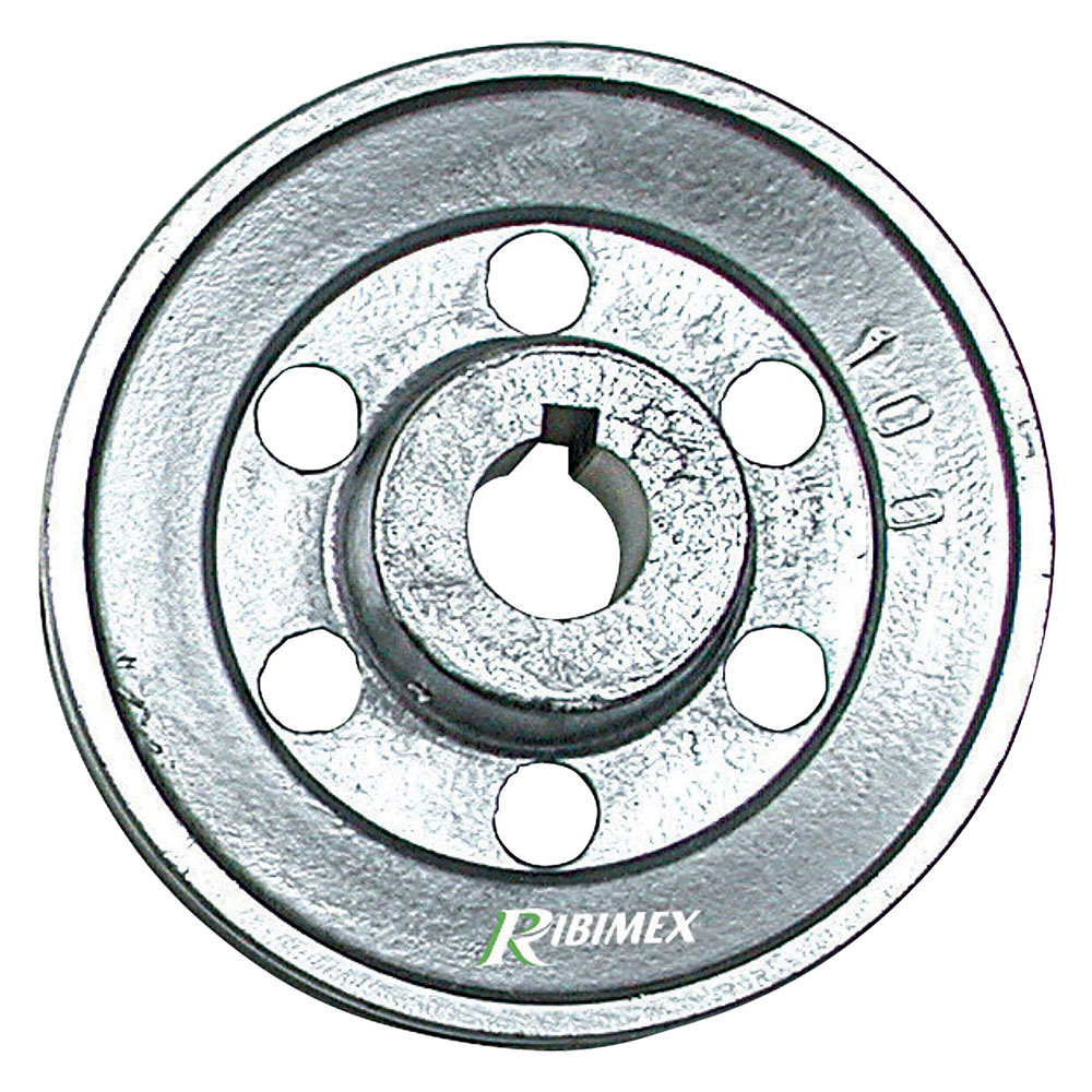 Puleggia per motore 1 gola – Ø 100 – asse 19 mm Ribimex