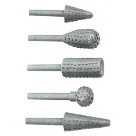 Raspe rotative in set serie 5 pezzi Toptools