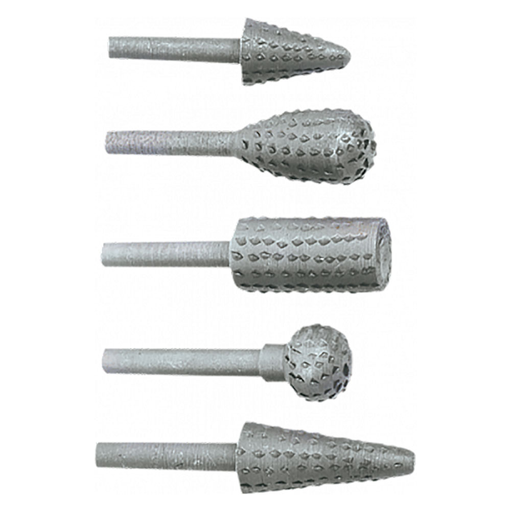 Raspe rotative in set serie 5 pezzi Toptools