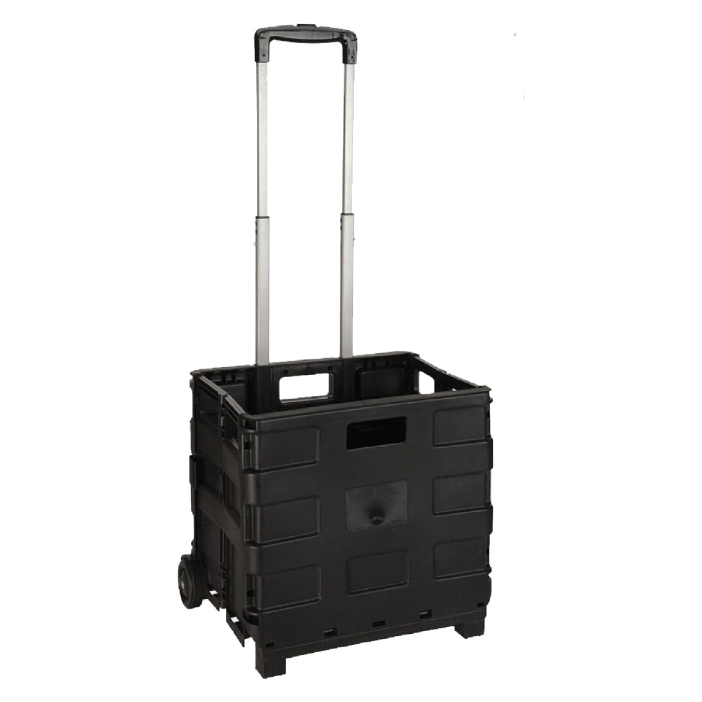 Carrello cesta multiuso pieghevole portata 18 kg Senza marca