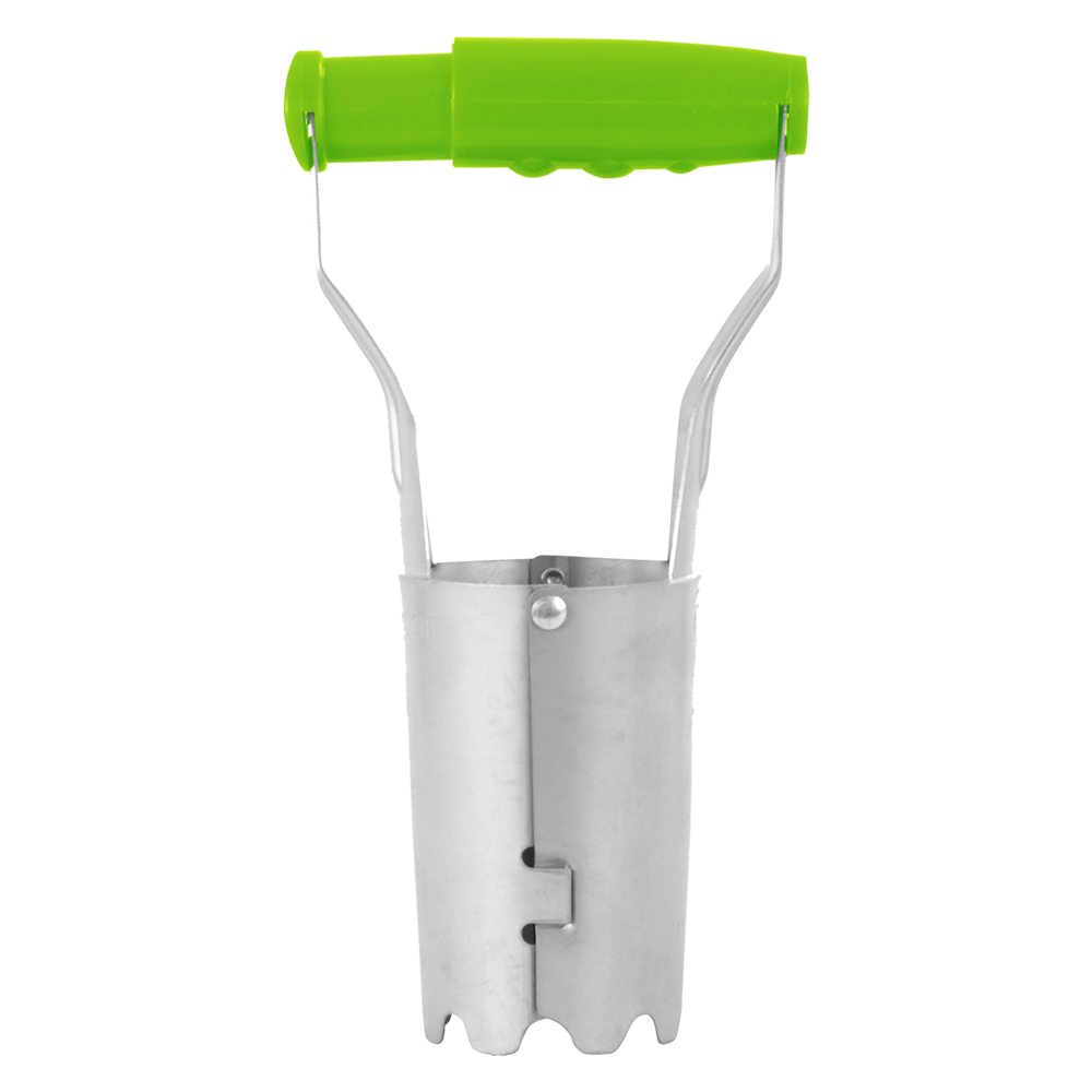 Pianta bulbi cm. 12,5 x h. 23 Lif