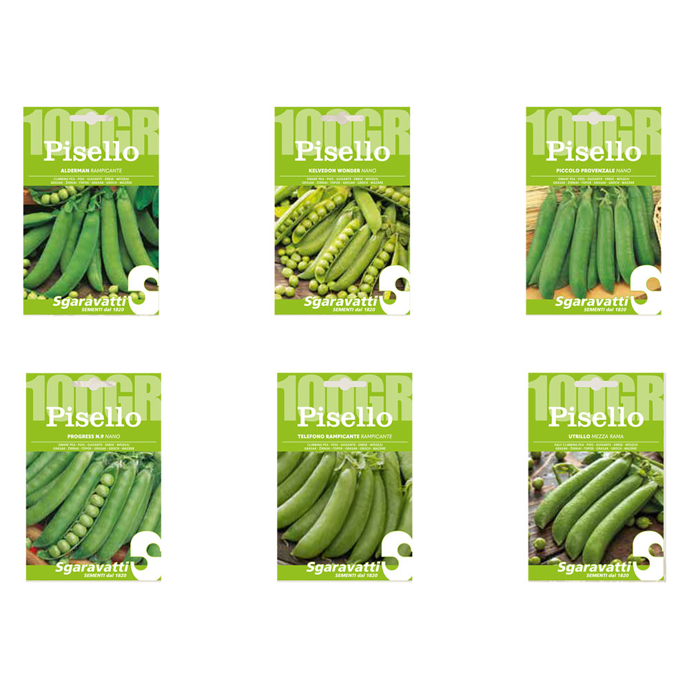 Semi per fave pisello alderman (rampicante) – gr 100 Sgaravatti
