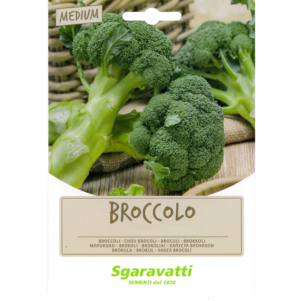 Semi per fave broccoletto aprilatico – gr 100 Sgaravatti