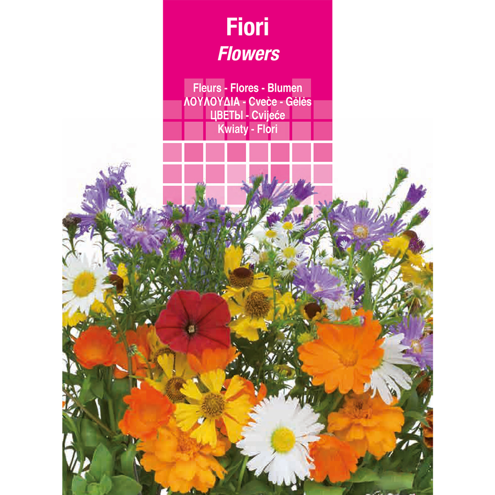 Semi per prato universale aquilegia miscuglio Sgaravatti