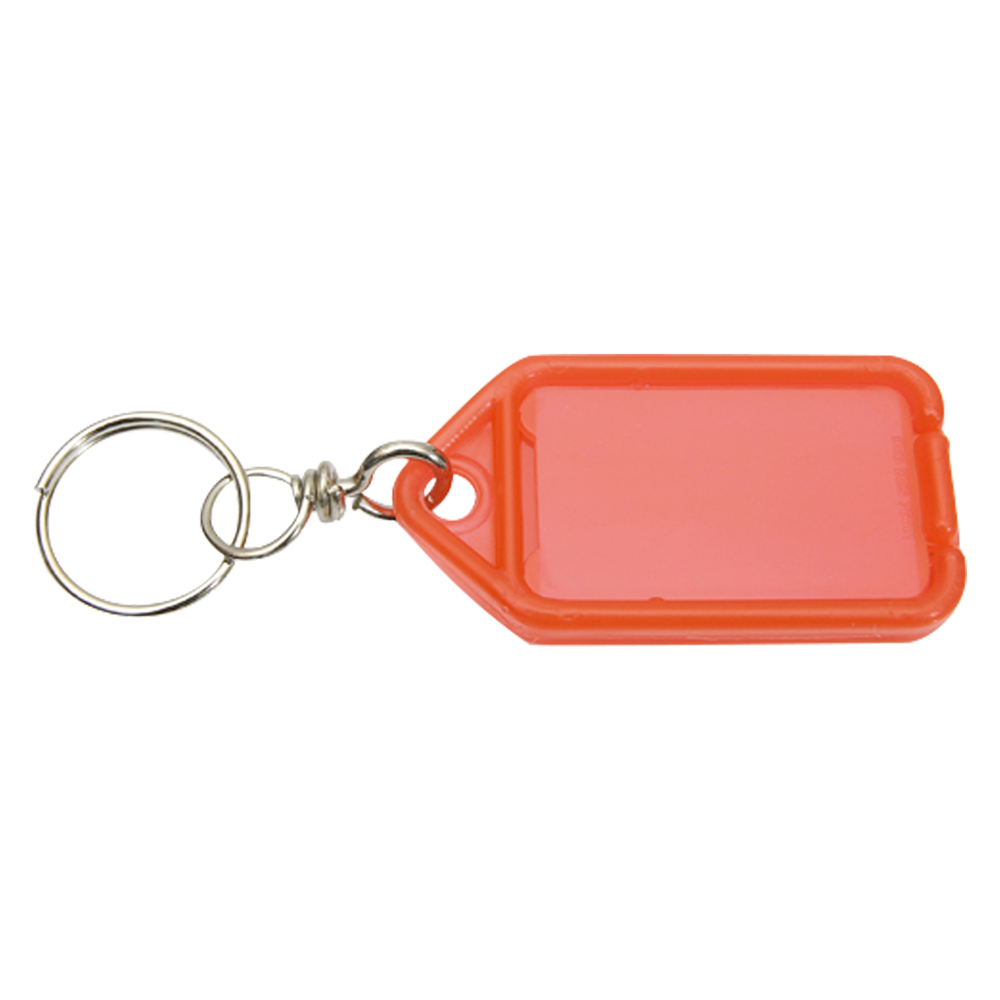 Targhetta portachiavi con segnanome mm. 50×30 con givolare cf. 100 pz Senza marca