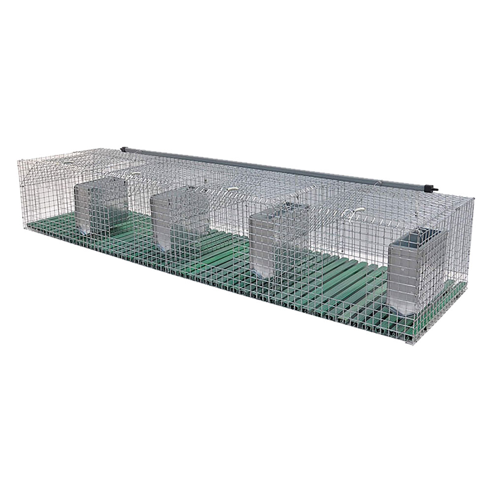 Gabbia conigli fattrici 4 fori – cm 200 x 50 x h 34 Mg gabbie