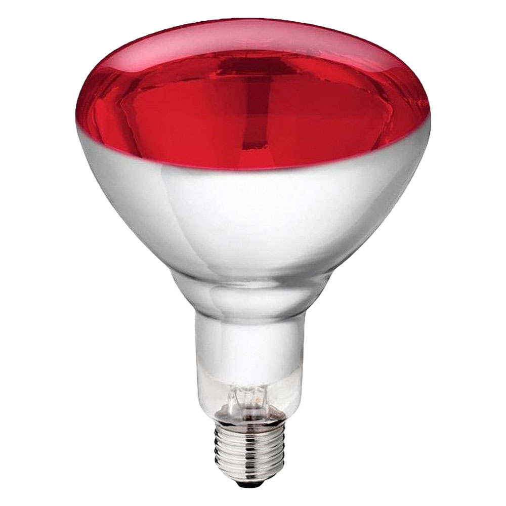 Lampada infrarossi per riflettore 150 w – e27 philips Albert kerbl