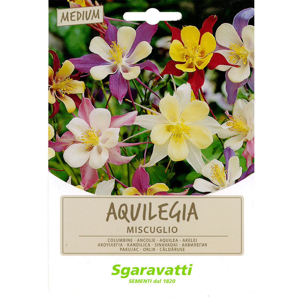 Semi per prato universale aquilegia miscuglio Sgaravatti