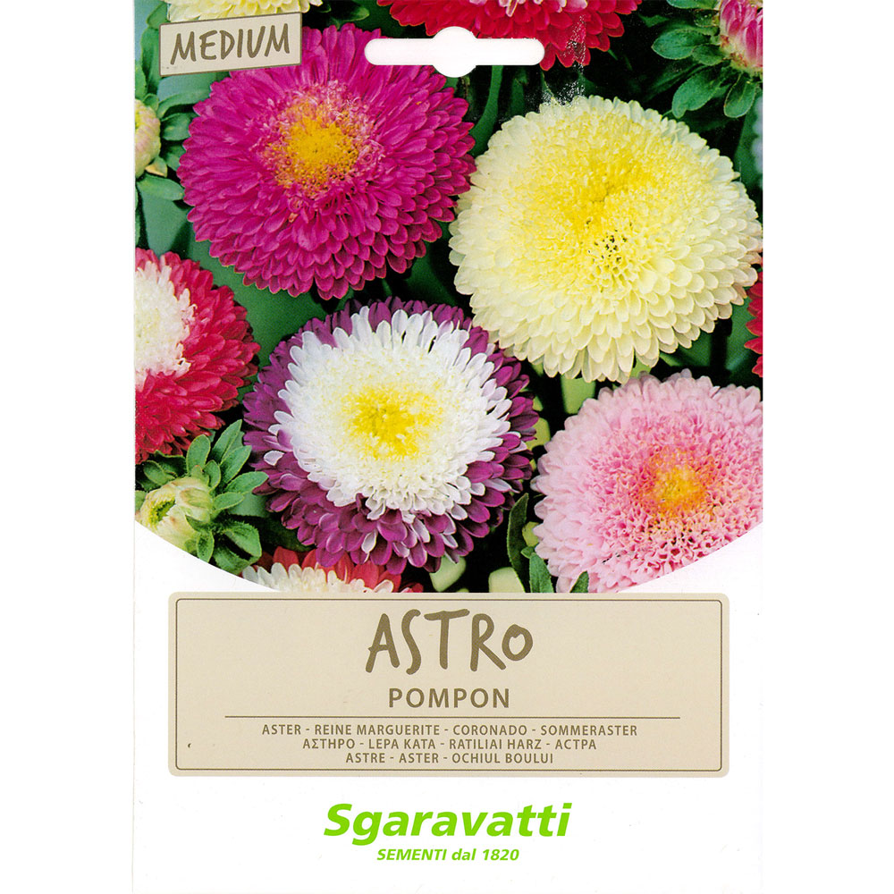 Semi per prato universale astro pompon Sgaravatti