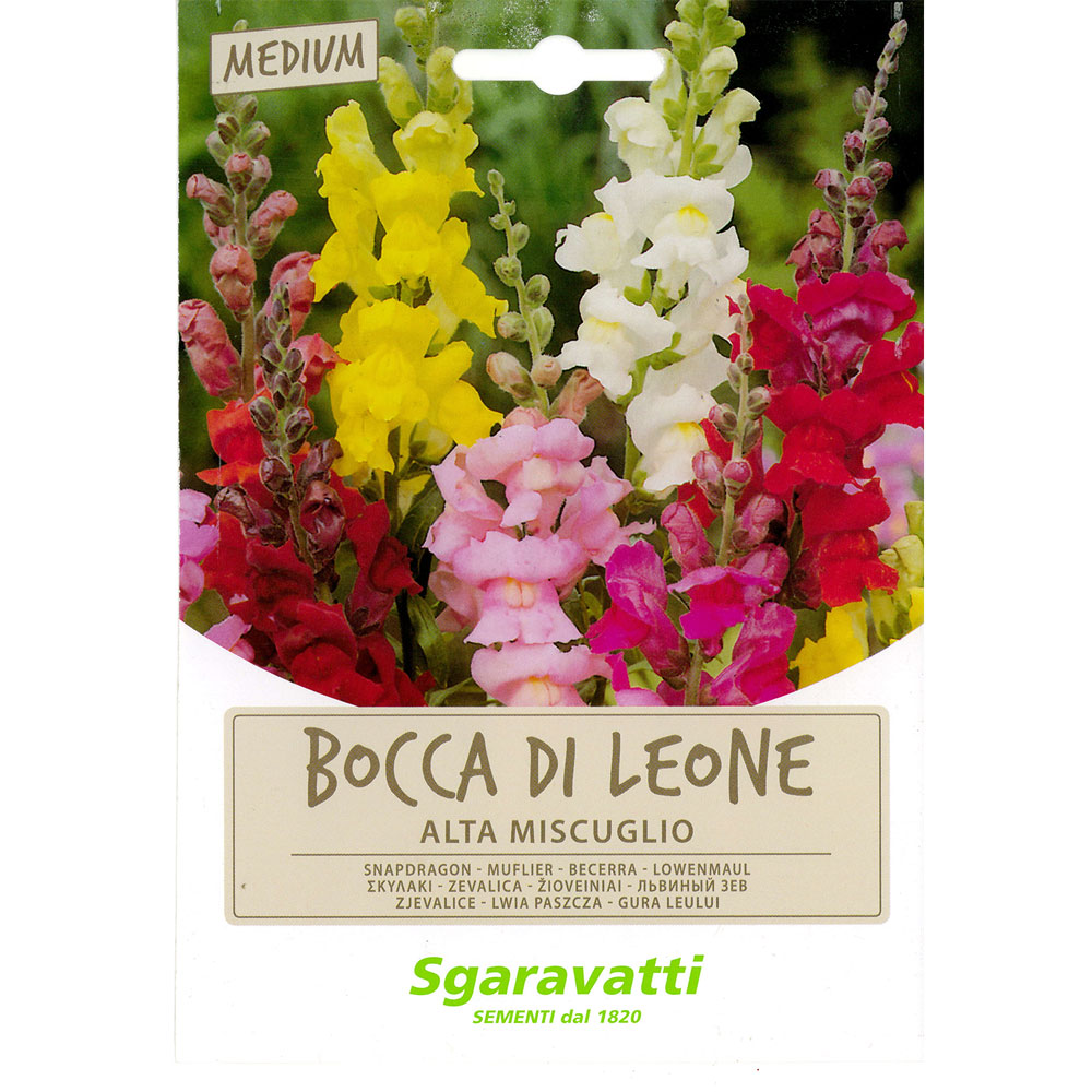 Semi per prato universale bocca di leone Sgaravatti