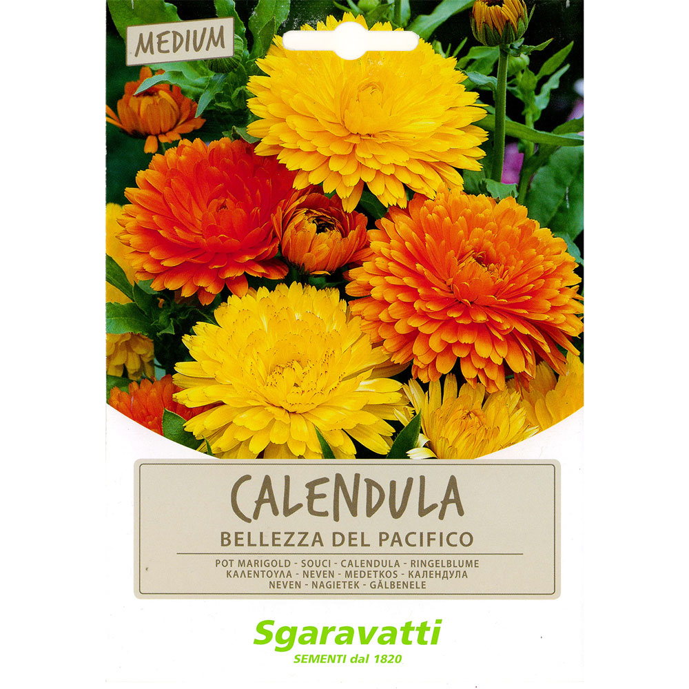 Semi per prato universale calendula bellezza del pacifico Sgaravatti